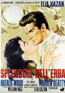 Splendore nell'erba streaming