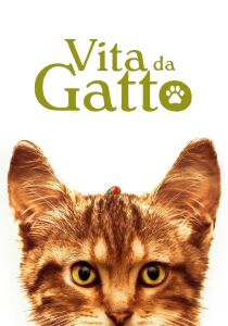 Vita da gatto streaming