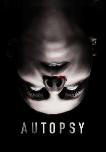 Autopsy streaming