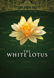 The White Lotus streaming