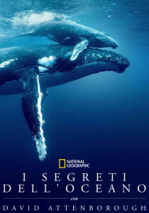I segreti dell'oceano con David Attenborough [Sub-ITA] streaming