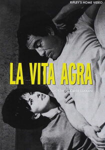 La vita agra streaming