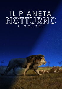 Il pianeta notturno a colori streaming