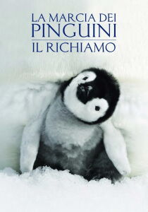 La marcia dei pinguini 2 - Il richiamo streaming