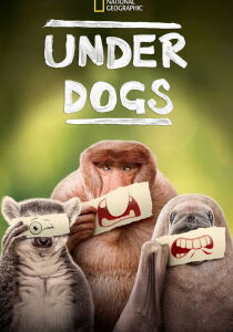 Underdogs streaming