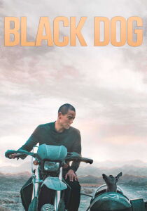 Black Dog streaming
